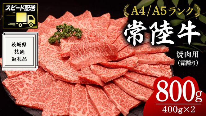 【最短5営業日!スピード発送】 【常陸牛】焼肉用 (霜降) 800g ( 茨城県共通返礼品 ) 国産 霜降り 焼肉 焼き肉 バーベキュー BBQ お肉 A4ランク A5ランク ブランド牛[BM012us]