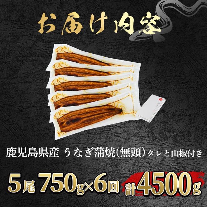 【1504304b】＜定期便・全6回＞東串良町のうなぎ蒲焼(無頭)(5尾・計約750g・タレ、山椒付×6回)うなぎ 高級 ウナギ 鰻 国産 蒲焼 蒲焼き たれ 鹿児島 ふるさと 人気【アクアおおすみ】