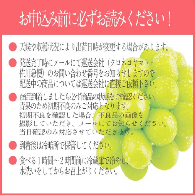 2026年 先行予約シャインマスカット 晴王 1房約720g 9月～10月出荷/ 岡山県産 種無し 皮ごと食べる みずみずしい フレッシュ 晴れの国 おかやま　 果物大国 彩美菜果