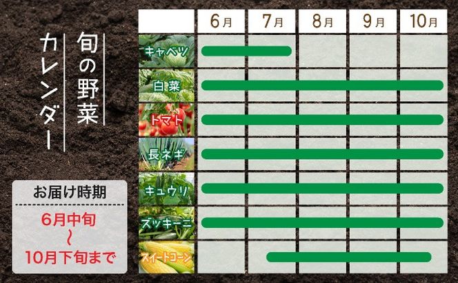 ＜定期便2回＞北海道 伊達市 産直・旬のおまかせ野菜詰合せ 6～8種【dnk-004】