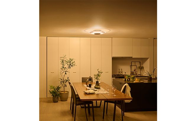 シーリングライト LED 照明 パネルライト 8畳 CEA-A08DLPW アイリスオーヤマ 照明器具 天井照明 節電 省エネ リビング 寝室 和室 ダイニング キッチン 台所 