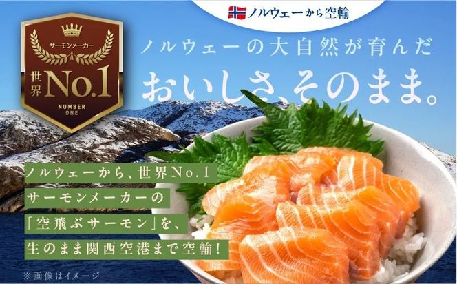 015B473-2 【特別規格】アトランティック サーモン 800g前後＋はしっこ100g【エコパック 小分け 訳あり サイズ不揃い 刺身 さーもん 冷凍 北国からの贈り物】