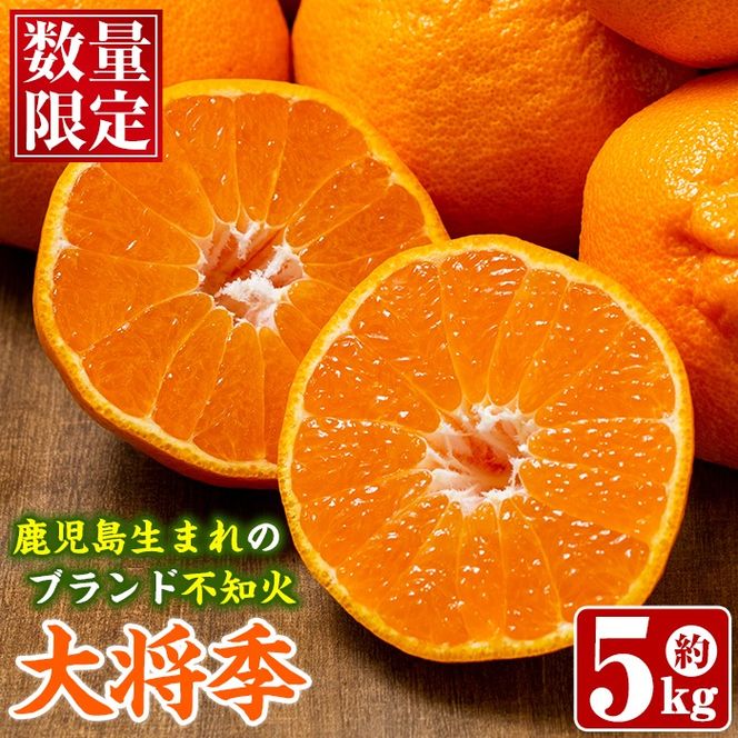 yvszs\tI2026N1ȍ~\聄ʌIŐ܂ꂽIWiiu叫Gv(5kgE15`24) ʕ t[c k ʎ nEX͔| Mtgyݔ_Ƌgzakn018-22