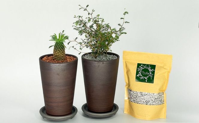 三河焼植木鉢ハーモニーブラウン【テラチップいぶし】プランター お手軽植物栽培セット 園芸 粘土 鉢 植物 土 シルバー 銀 茶 H188-007