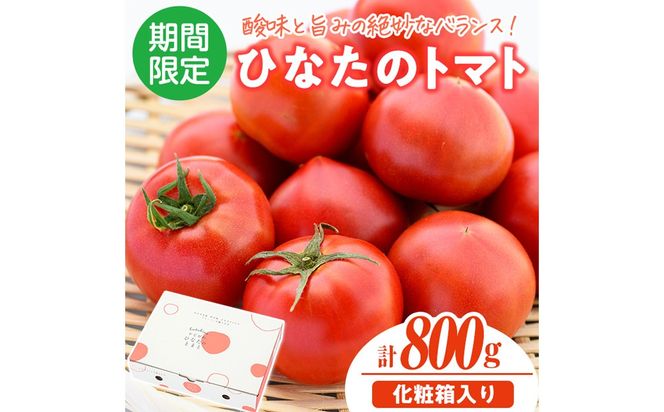 ＜先行予約受付中！2026年2月から5月の間に発送予定＞門川ひなたのトマト(800g×1箱) 高糖度 トマト フルーツトマト 野菜 旬野菜 冷蔵 門川町産 宮崎県 門川町 【宮崎県農業協同組合日向地区本部(門川選果場)】【TM-01】