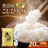 【令和8年産 先行予約】無洗米「3カ月定期便」食味鑑定士厳選！２０ｋｇ（５ｋｇ×４）×３回 白米 安心 安全 こだわり 米 コシヒカリ 定期 新潟県 十日町市