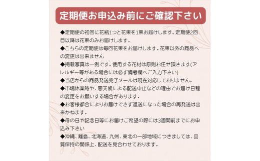【月2回（全24回）】《数量限定・花瓶付き》～スタンダードstyle～季節の花束定期便（全24回）月2回お届け×12カ月【 花 お花 神奈川県 小田原市 】 142069_BN053