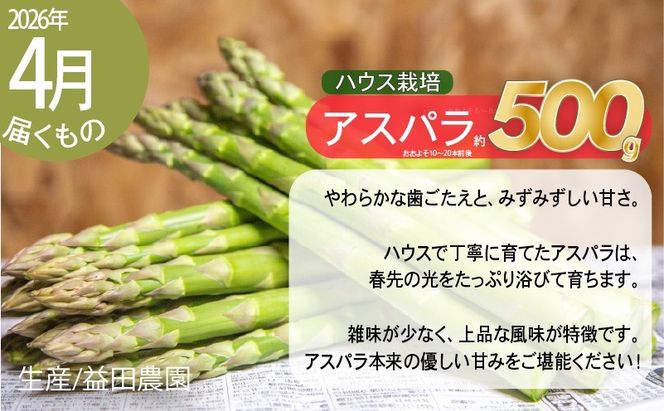 【2027年春発送】富良野産 アスパラ 食べ比べ 全2回定期便 アスパラ ハウス栽培 露地栽培 北海道 富良野市 緑アスパラ 野菜 とれたて 朝採り 食べくらべ 定期便 数量限定