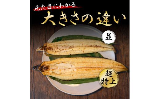 KGP041　高知ブランド鰻「西岡うなぎ」《超特上》うなぎの白焼き2尾セット（約440g） オリジナルタレ・山椒付き 国産 ウナギ 鰻 冷凍配送 高知県産 うな重 丼 特大 自宅用 家庭用