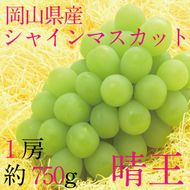 ぶどう 2026年 先行予約 9月・10月発送 シャインマスカット 晴王 1房 約750g ブドウ 葡萄 岡山県産 国産 フルーツ 果物 ギフト