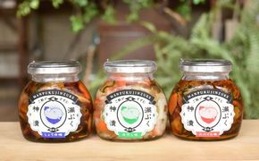 千葉ウシノヒロバ 満ぷく神漬 3種セット 漬物 幸せ 食卓 大根 きゅうり なす 福神漬 野菜 瓶 