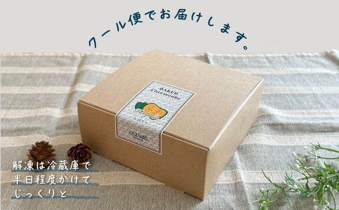 FB019　パンプキンチーズケーキ