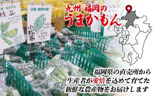 むなかた旬のお任せセット(野菜) 7～9品【JAほたるの里】_HA1569