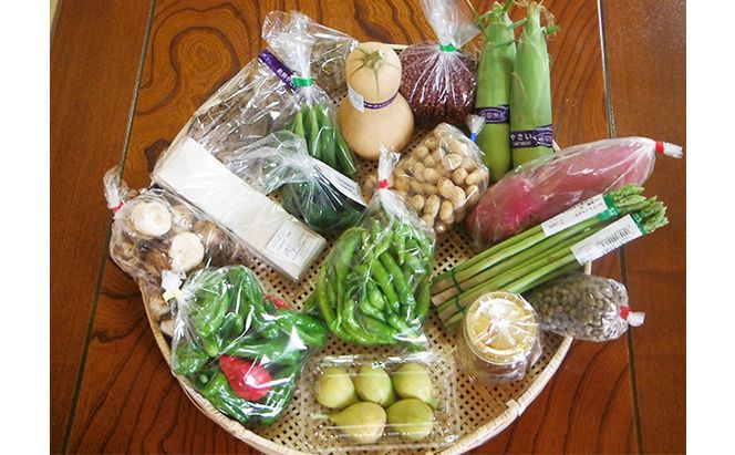 採れたて！旬の新鮮野菜 詰め合わせ セット 詰合せ 野菜セット 