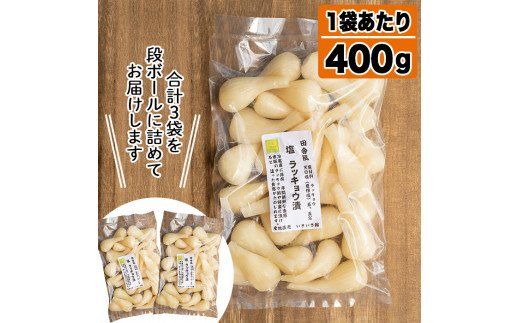 期間限定！鹿児島県産ラッキョウ使用！塩らっきょうの漬け物(400g×3袋・計1.2kg)国産 九州産 鹿児島産 おつまみ 漬物 辣韭【あくね旬の店いきいき館】akn015-06