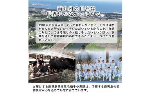 【工場直送 業務用】九州産豚バラスライス＜計8kg(400g×20P)＞ c5-038