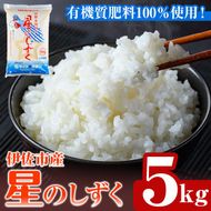 isa798 令和7年度産 星のしずく(5kg) 伊佐市 お米 米 おこめ こめ 白米 精米 伊佐米 星のしずく 5kg 【ライス郷井手口】