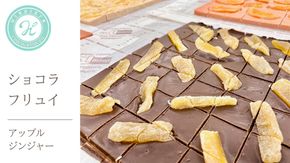 ショコラフリュイ アップルジンジャー チョコレート チョコ スイーツ デザート 高級 ギフト 贈り物 お礼 プレゼント 手土産 お菓子 [DJ31-NT]
