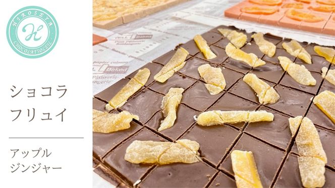 ショコラフリュイ アップルジンジャー チョコレート チョコ スイーツ デザート 高級 ギフト 贈り物 お礼 プレゼント 手土産 お菓子 [DJ31-NT]