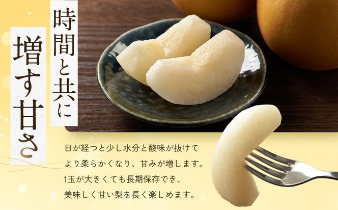 【先行予約】訳あり 数量限定 鳥取県産 王秋梨（おうしゅうなし） 約5kg （7～15玉）≪2026年11月中旬頃出荷≫ 312011_GT003