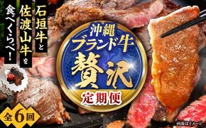 【全6回定期便】沖縄ブランド牛を堪能！贅沢お肉定期便【沖縄市】牛肉 和牛 サーロインステーキ 焼肉 赤身 沖縄市 / 肉のサブロー / お肉屋本店[BCZZ028]