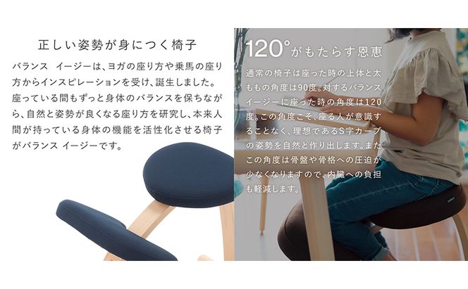 椅子 バランスイージー カバーなし 選べる フレーム カラー 姿勢矯正 インテリア 家具