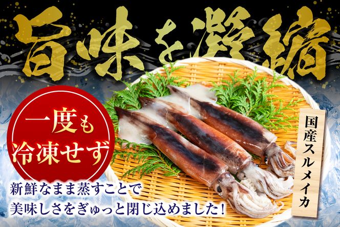 【 串イカ 6尾入り（約100g～130g×6尾）冷凍 】 新鮮 旨味 凝縮 イカ焼き 食べ応え 抜群 いか 串 スチーム 蒸しイカ バーベキュー 焼肉 鉄板焼き BBQ キャンプ 国産 兵庫県 香美町 香住 香住漁港 モリタ食品 10-10