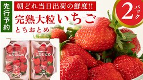 完熟 とちおとめ 2パック 先行予約 大粒 イチゴ 苺 いちご フルーツ 果物 [AF056ci]