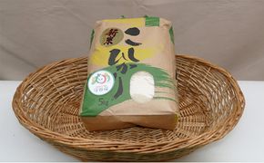 令和8年産コシヒカリ 5kg | お米 コシヒカリ 5kg 米