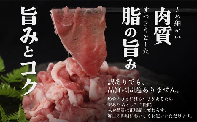 【定期便6回プラン】訳ありでも絶品！富士湧水ポーク 切り落とし2.1kg DM069