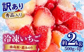 【2026年3月～発送】【訳あり】【数量限定】冷凍 カットいちご「恋みのり」 加工用 約600g×4P / 冷凍 いちご イチゴ 苺 フルーツ 冷凍フルーツ ジャム / 南島原市 / あゆみfarm [SFF005]