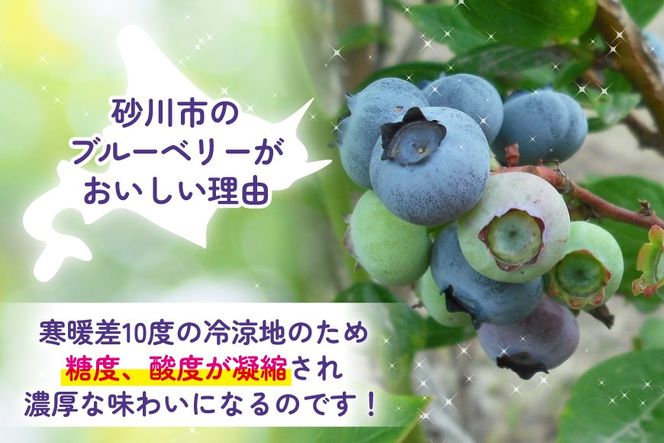 【期間限定発送】生食 ブルーベリー 1kg [ノーザン・ベリーズ 北海道 砂川市 12260529] 果物 フルーツ 国産 期間限定 数量限定