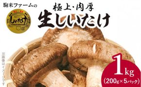 駒来ファームの 極上・肉厚 生しいたけ［131L01］極上 肉厚 生しいたけ 生シイタケ 生椎茸 安心 安全 国産 採れたて 新鮮 きのこ 野菜