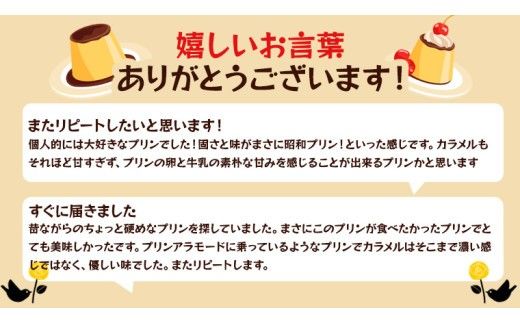 【 ODEKAKE LADY 】 レトロプリン 6個 セット 贅沢 平飼い卵 昔プリン ぷりん 洋菓子 お菓子 スイーツ デザート [BW068ci]