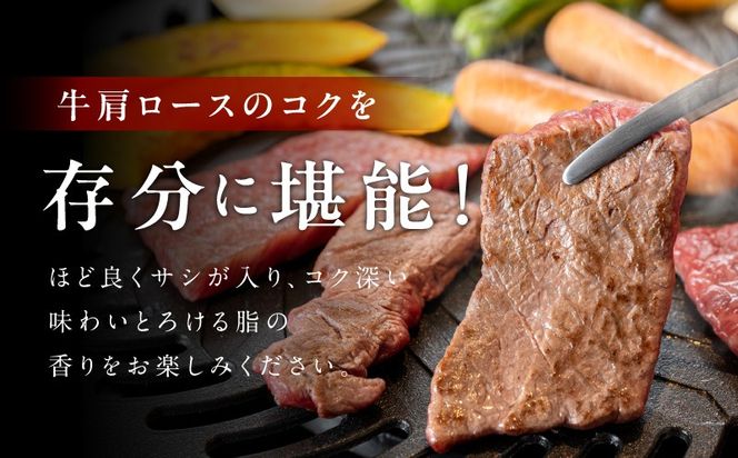 mrz0489 【お試し】黒毛和牛 焼肉用 400g【スピード発送 氷温熟成×特製ダレ 肩ロース 400g×1P 訳あり サイズ不揃い 焼肉 BBQ バーベキュー 人気】