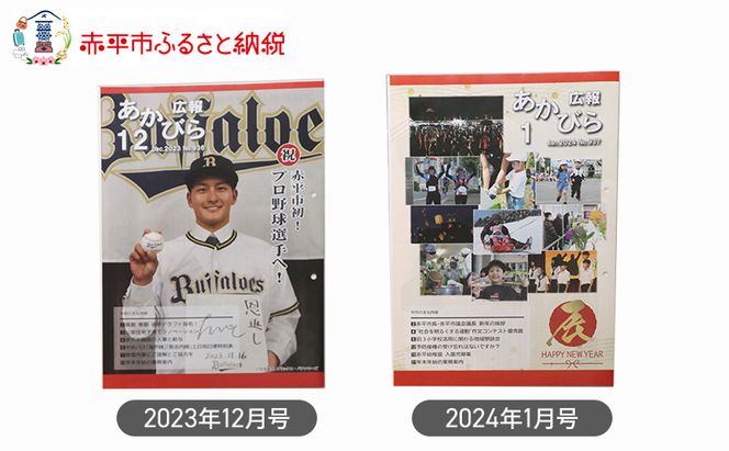 北海道赤平市広報誌 「広報あかびら」 毎月お届け全12回 地域のお礼の品 カタログ 本 