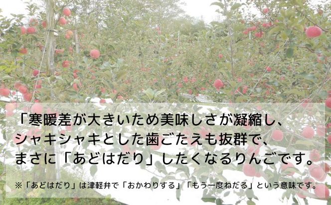 糖度13度以上 ヒバリノ園 【 紅虎 】 あどはだり 葉とらず サンふじ 約 5kg （14～18玉）青森県鰺ヶ沢町産りんご 果物類 フルーツ ※オンライン決済のみ 
