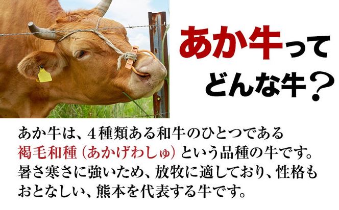 【希少和牛】ハンバーグ 熊本県産 あか牛 チーズ イン ハンバーグ 150g × 8個 南阿蘇食品 牛肉 あか牛 南阿蘇村 《30日以内に出荷予定(土日祝除く)》---sms_fsrcahb_30d_24_19000_1200g---