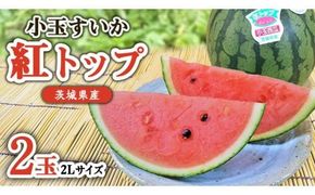 【 先行予約 】 希少品種 「 紅トップ 」 茨城県産 小玉 すいか  2玉入り 2Lサイズ スイカ [AG005ci]