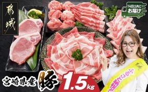 宮崎県産豚わくわく1.5kgセット(真空)≪みやこんじょ快速便≫_11-8401-s-R_(都城市) 豚肉 豚肉セット 宮崎県産豚 しゃぶしゃぶ バラ 焼肉 切り落とし 肩ローススライス ロース とんかつ ミンチ 使い勝手抜群 小分け 真空