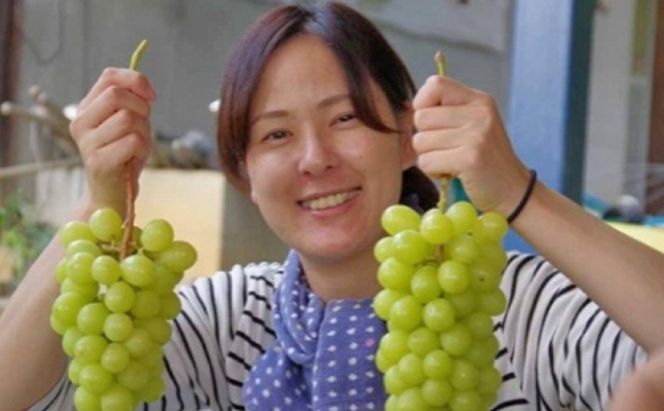 シャインマスカット 2kg 3房～5房 葡萄 フルーツ 岡山 高梁市産 ぜきお農園 ぶどうclub 2026年 先行予約