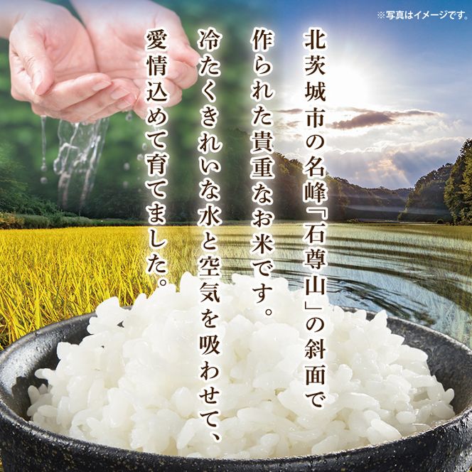 【数量限定】石尊米とお漬物セット【お米 米 コメ 石尊山 真空パック こしひかり 漬物 たくあん シャクシナ 野菜 ご飯 北茨城市 茨城県】(CV002)