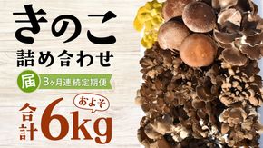 【3ヶ月定期便】きのこ の 詰め合わせ Lサイズ( 約2kg ) （茨城県共通返礼品：城里町） キノコ セット 野菜 低カロリー ダイエット デトックス バラエティ セット 新鮮 [DY007us]