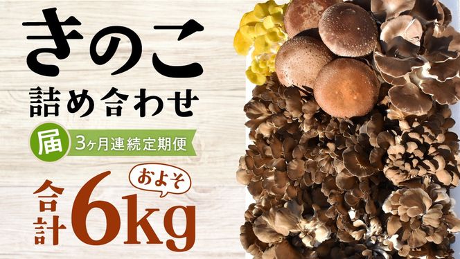 【3ヶ月定期便】きのこ の 詰め合わせ Lサイズ( 約2kg ) （茨城県共通返礼品：城里町） キノコ セット 野菜 低カロリー ダイエット デトックス バラエティ セット 新鮮 [DY007us]