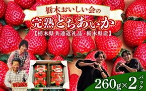 栃木おいしい会のいちご（とちあいか）260g×2パック（520g）｜栃木県共通返礼品 栃木県産 ※2027年1月～発送