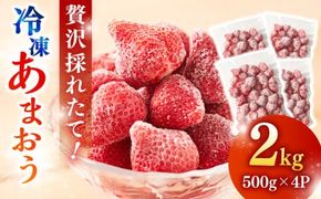 【農家直送！】 冷凍あまおう 2kg（500g×4パック）いちご 苺 糸島市 / みのりのりん[ABD007]