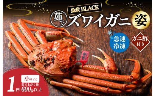 【蟹の匠 魚政】魚政BLACK 茹でズワイガニ〈急速冷凍〉小サイズ 1杯【姿のまま】カニ酢付き　UO01326