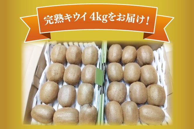 【先行予約】【12月上旬より発送開始】春日部完熟キウイ4kg【埼玉県 春日部市 キウイ キウイフルーツ 4kg 完熟 国産 フルーツ 果物 ヘイワード】(BG002）