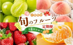【フルーツ定期便・全4回】品質に自信あり！くしがきの里から直送　桃・シャインマスカット・はれひめ・まりひめを季節ごとにお届け♪ / 定期便 桃 もも みかん 柑橘 シャインマスカット マスカット いちご イチゴ 苺 果物 フルーツ 4回【kgr530-ku4】