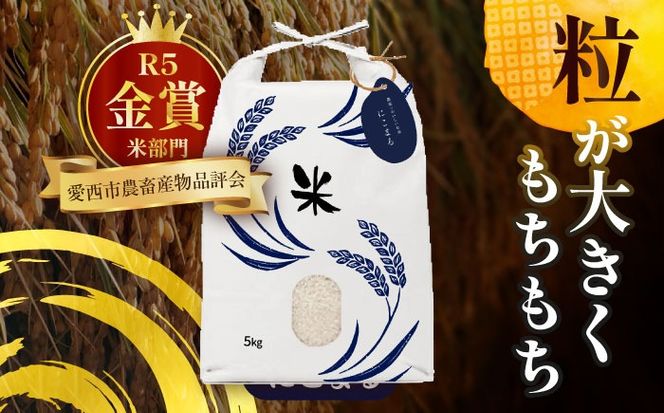 令和6年産　愛知県産　にこまる・あいちのかおり　白米　各5kg　特別栽培米　お米　ご飯　愛西市／戸典オペレーター[AECT004]